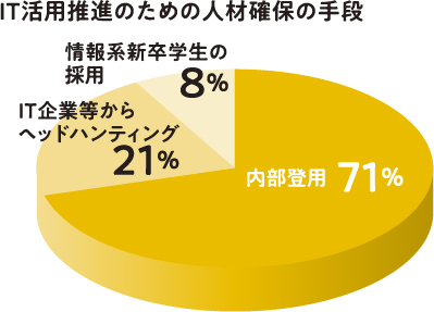 IT活用推進のための人材確保の手段